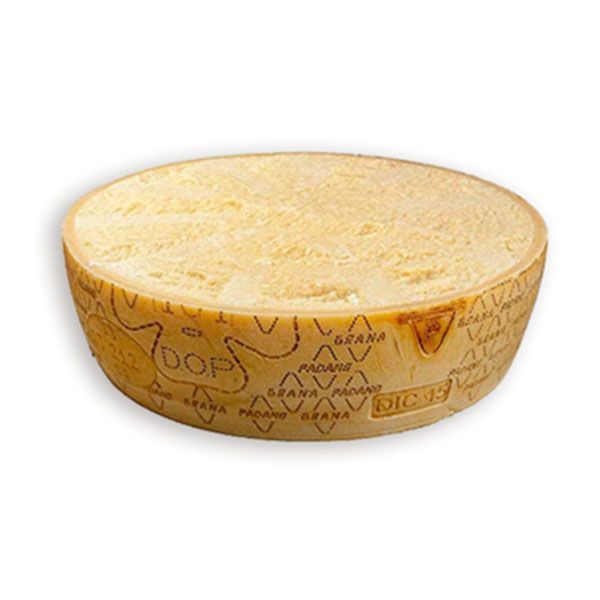PADANO CEREMONIA MITAD 12 MESES
